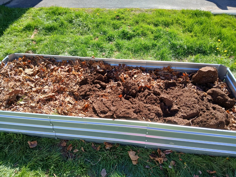 Leaves and compost on dirt